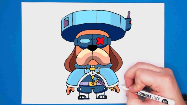 Гавс Браво старс