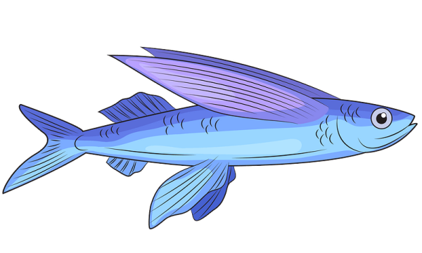 Мультяшная летучая рыба