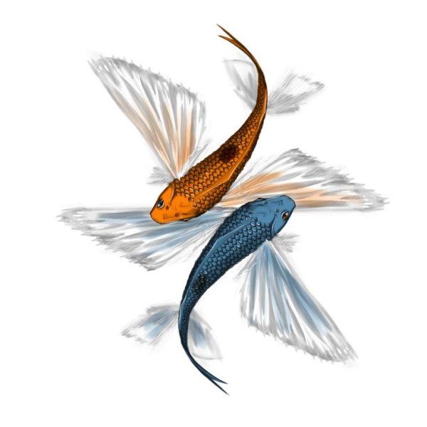 Рыбка с крылышками