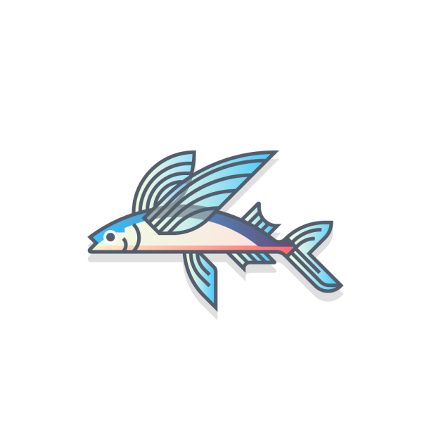 Летучая рыба Графика