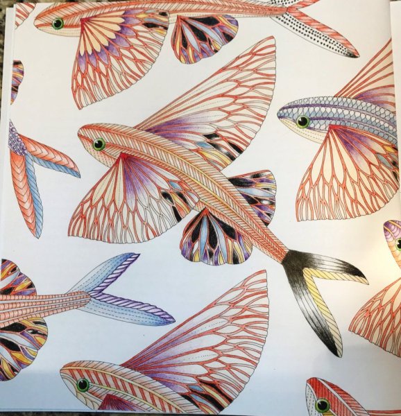 Millie Marotta рыбки