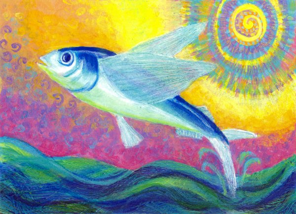 Летучая рыба эскиз