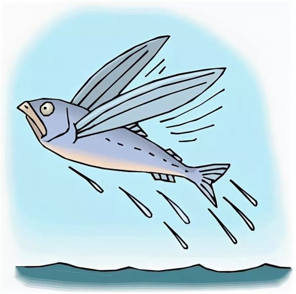 Мифическая летучая рыба