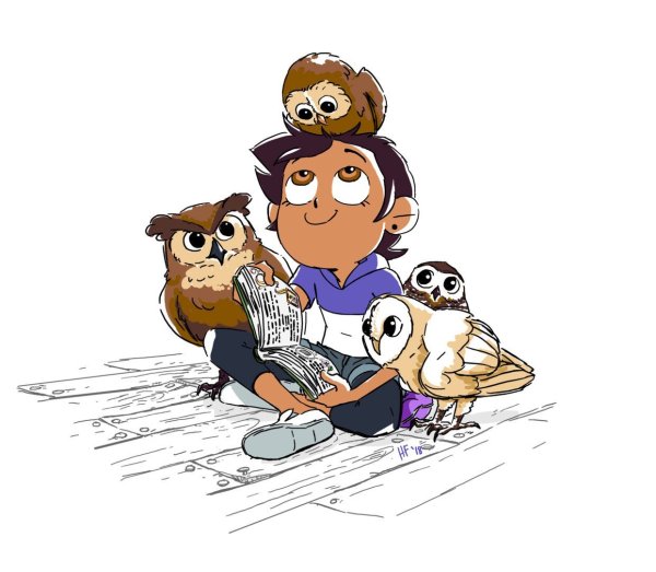 Дом Совы мультсериал