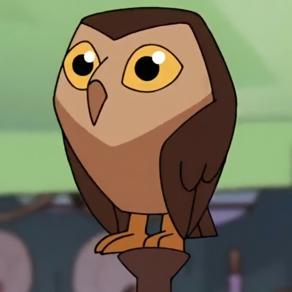 Дом Совы / Совиный дом / the Owl House