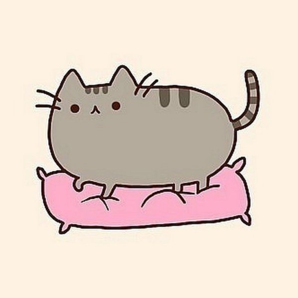 Серый кот Пушин