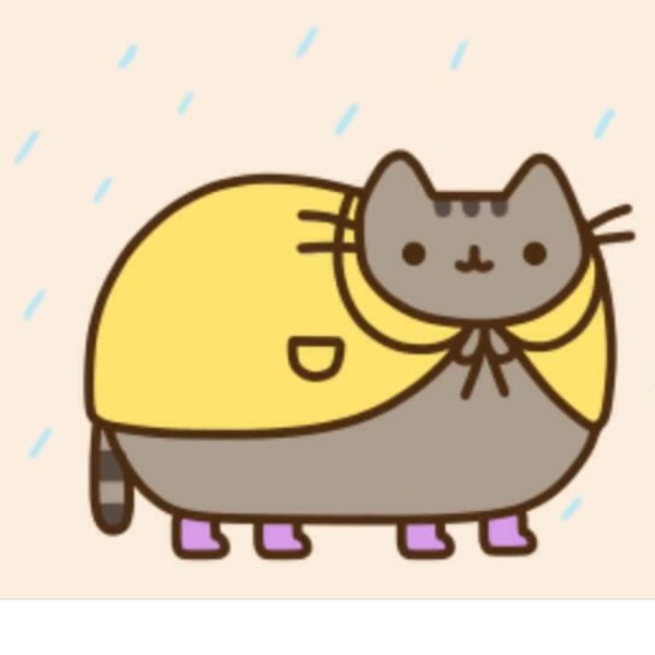 Толстый кот Пушин