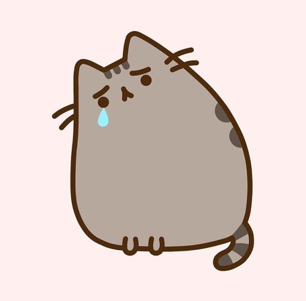 Кот Пушин злой