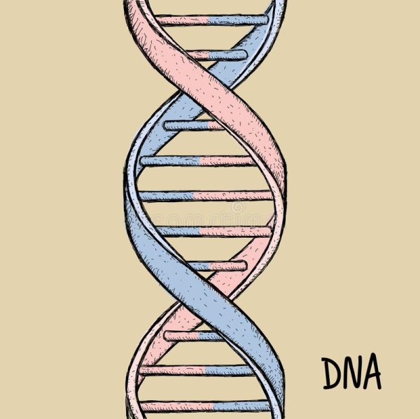 Молекула ДНК спираль
