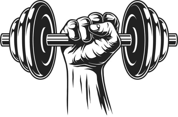 Бодибилдинг вектор