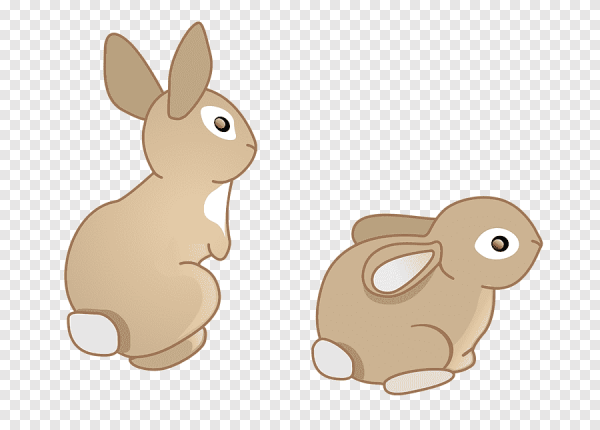 Заяц рисунок