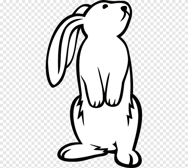 Векторное изображение зайца