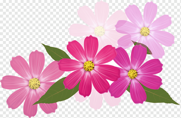 Цветочки без фона