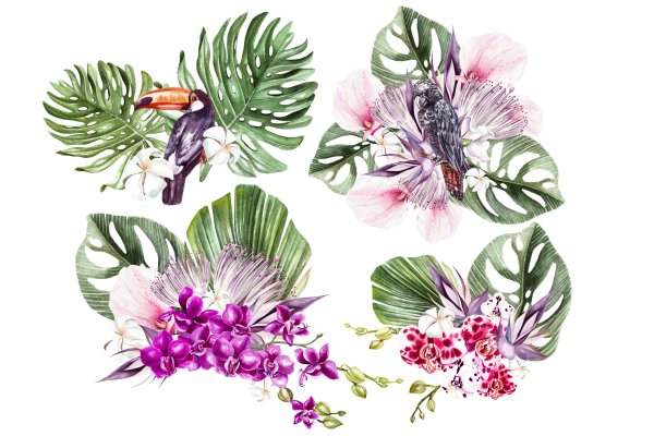 Тропические растения акварель