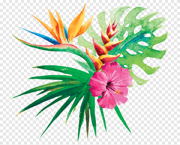 Тропические цветы акварель