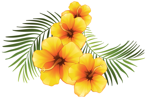 Плюмерия желтая вектор