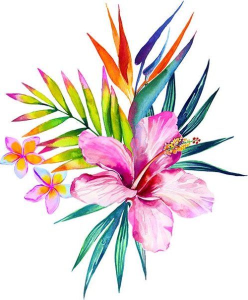 Акварельные тропические цветы