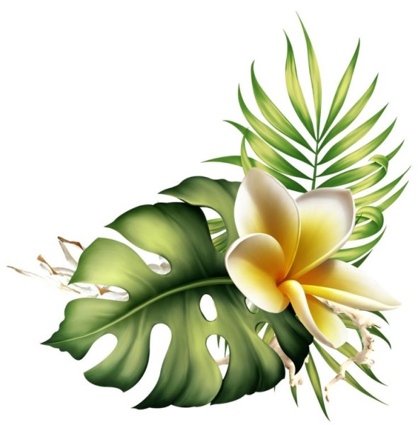 Тропические листья