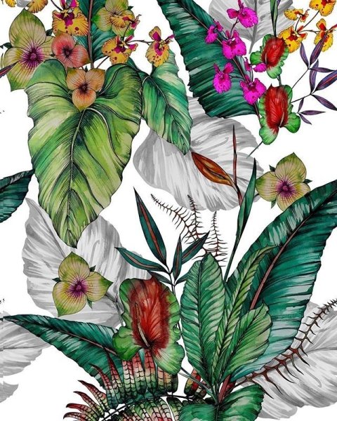 Тропические листья и цветы