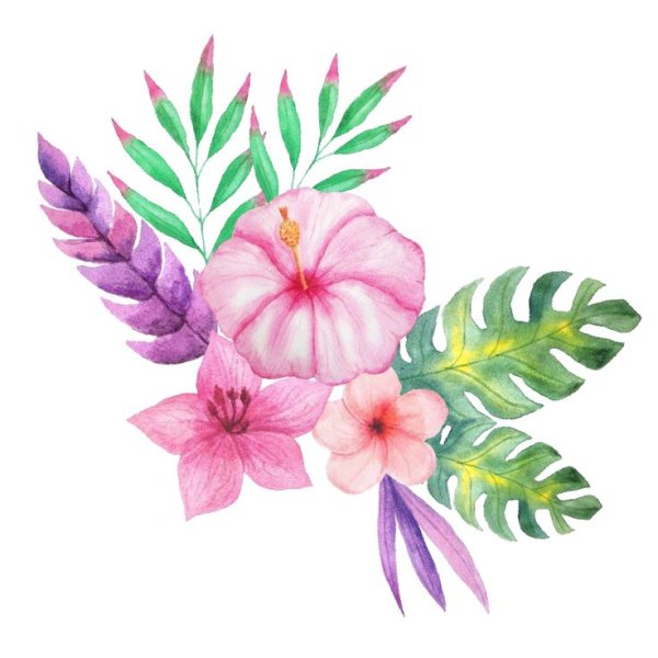 Тропические цветы