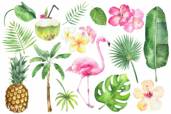 Тропические растения акварель