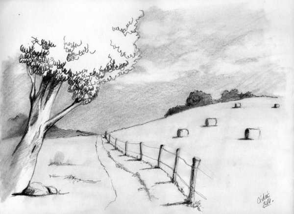 Линейный пейзаж