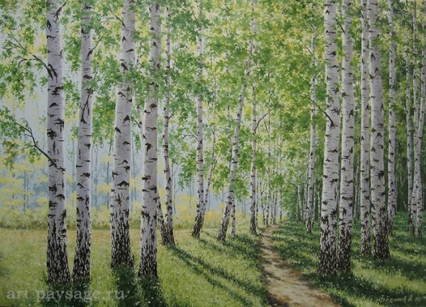Владимир Деревенчук Березовая роща