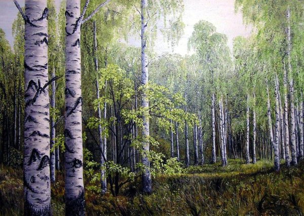 Пейзаж Березовая роща Густав