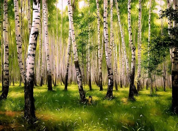 Березняк, Березовая роща