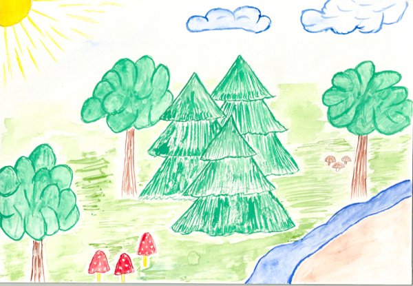 Лес глазами детей