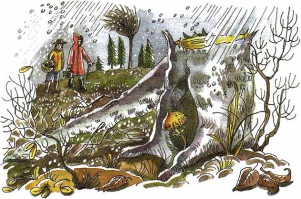 Эдуард ШИМ Храбрый опенок