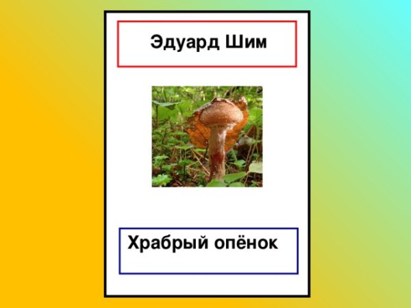 Храбрый опенок ШИМ