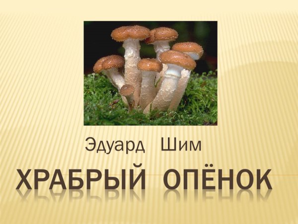 Рисование в подготовительной группе на тему грибы