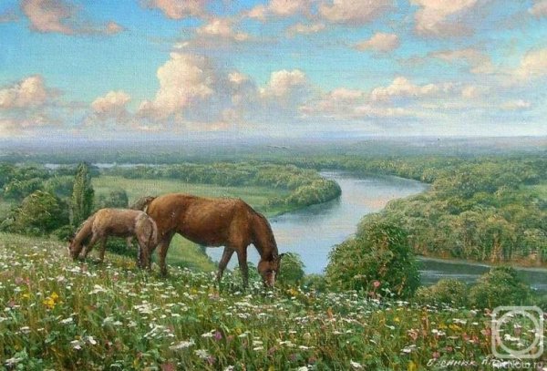 Степь Ковыльная. Литвиненко Геннадий Иванович