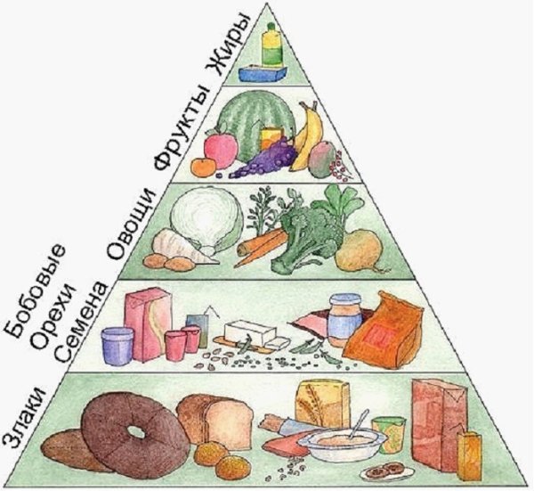 Веганская пирамида питания