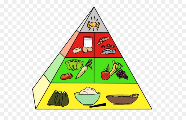 Пирамида здорового питания Уолтера виллетта