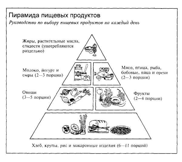 Пищевая пирамида схема
