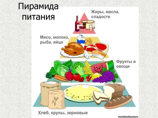 Физиология питания пирамида