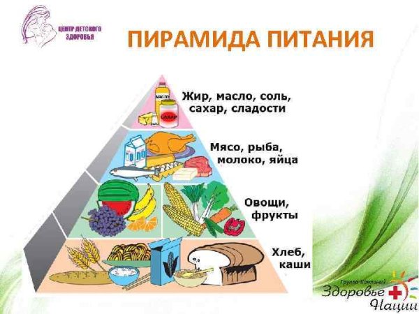 Пирамида питания 5 класс