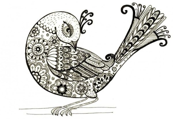 Узор птицы