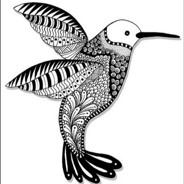 Зентангл Колибри