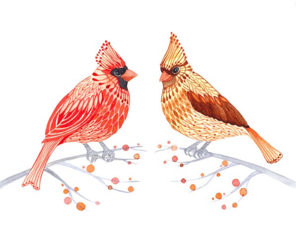 Птичий орнамент