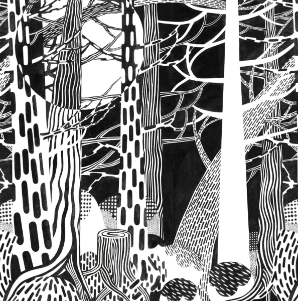 Линия и пятно в композиции