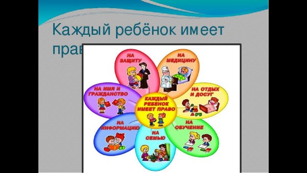 Мои права и обязанности