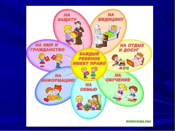 Мои право и обяженности