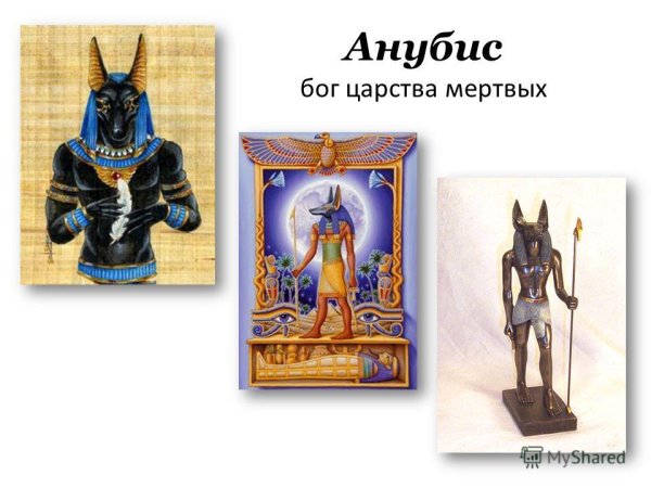 Амон ра и Анубис