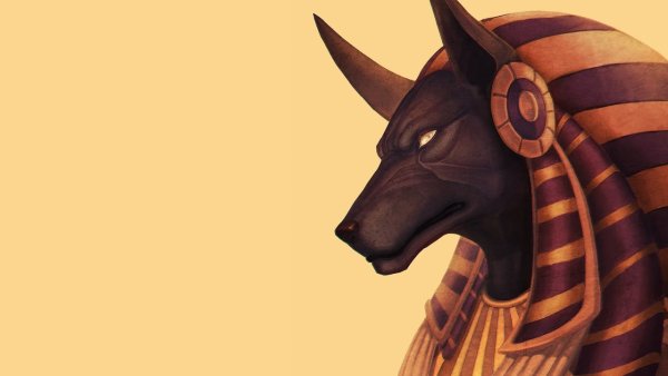 Желтый Анубис