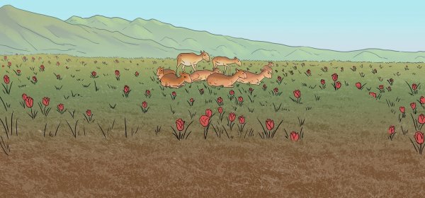 Соколов Микитов улетают Журавли