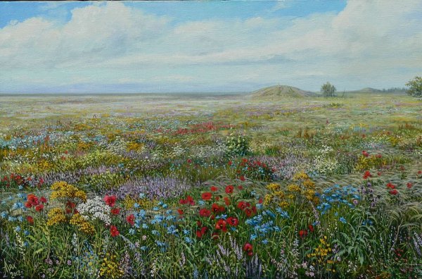 Калмыкия весной степь цветёт