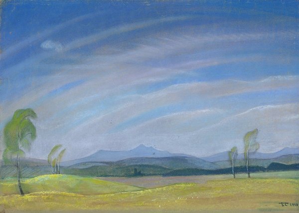 Картина тюльпаны в степи